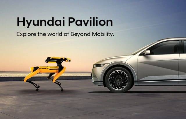 Beyond Mobility